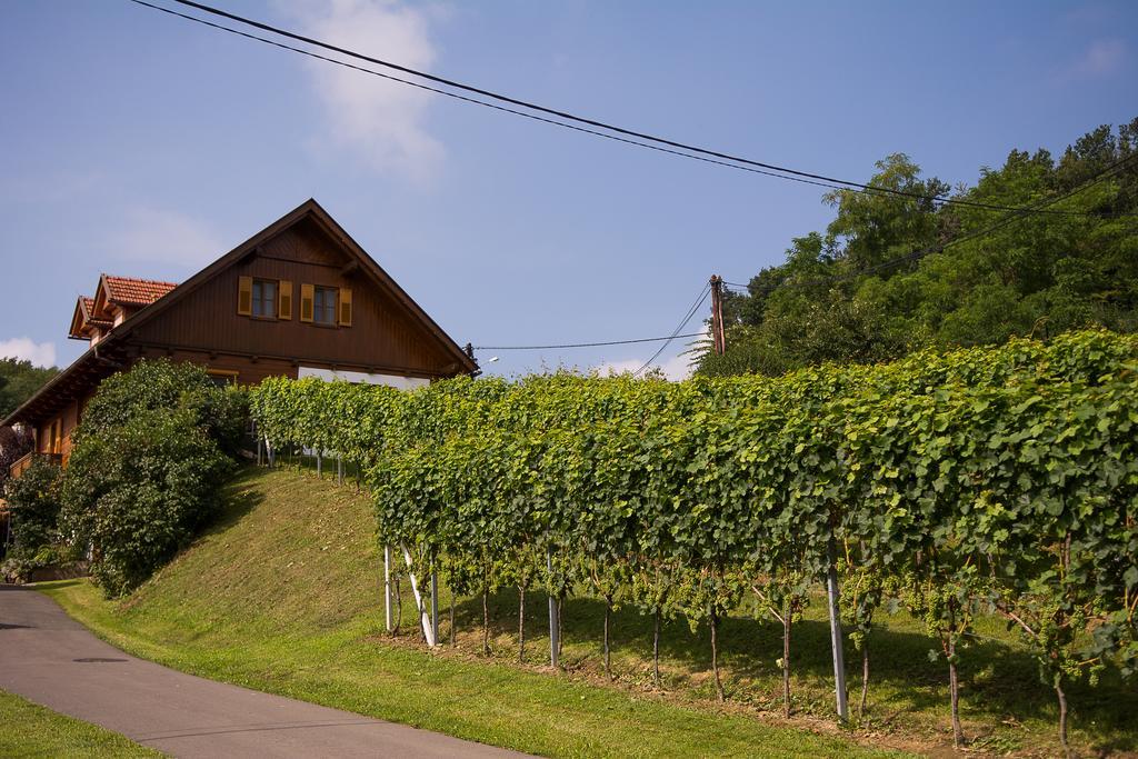 Ferienwohnung Weinhof Gästehaus Radl Klöch Exterior foto