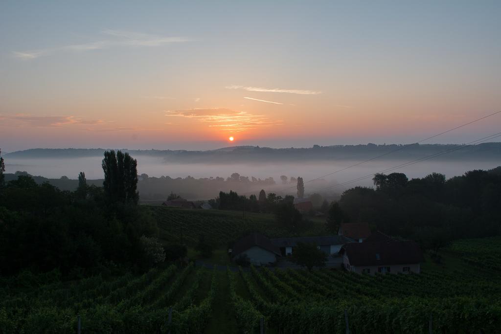 Weinhof Gästehaus Radl Klöch Exterior foto