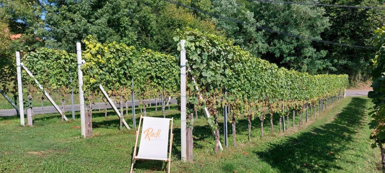 Ferienwohnung Weinhof Gästehaus Radl Klöch Exterior foto