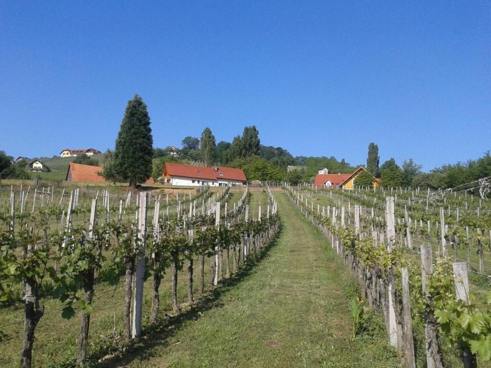 Ferienwohnung Weinhof Gästehaus Radl Klöch Exterior foto